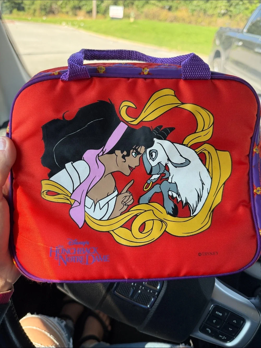 Disney Esmeralda & Djali Lunch Tote - Red, Purple, Yellow